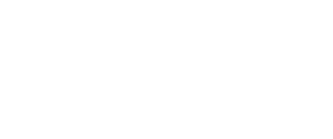 Index Logo